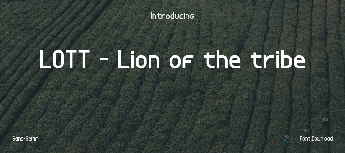 LOTT - Lion of the tribe Font