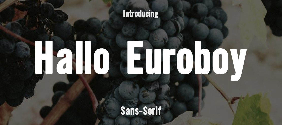 Hallo Euroboy Font