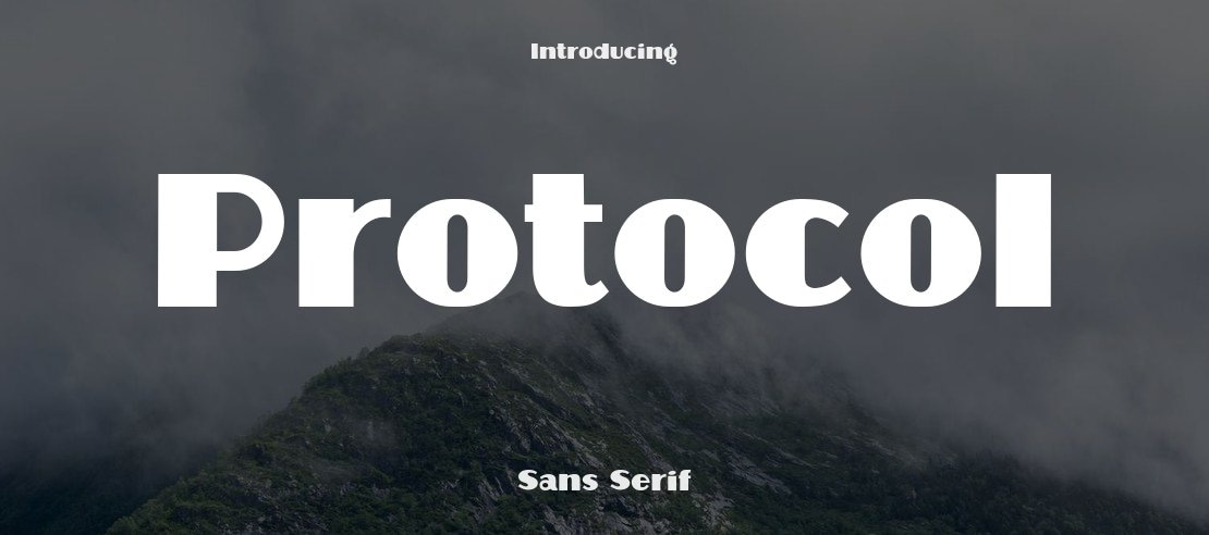 Protocol Font Family