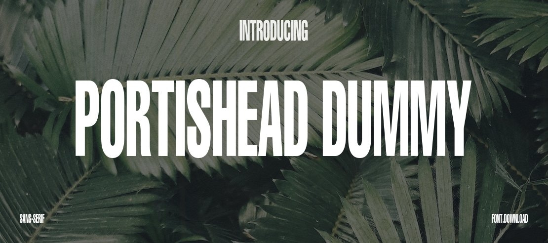 Portishead Dummy Font