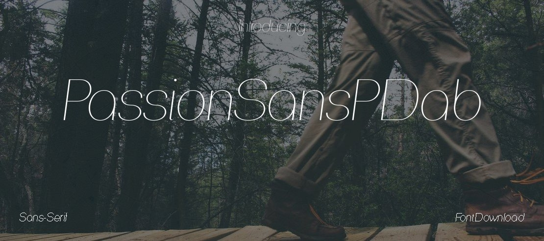 PassionSansPDab Font Family