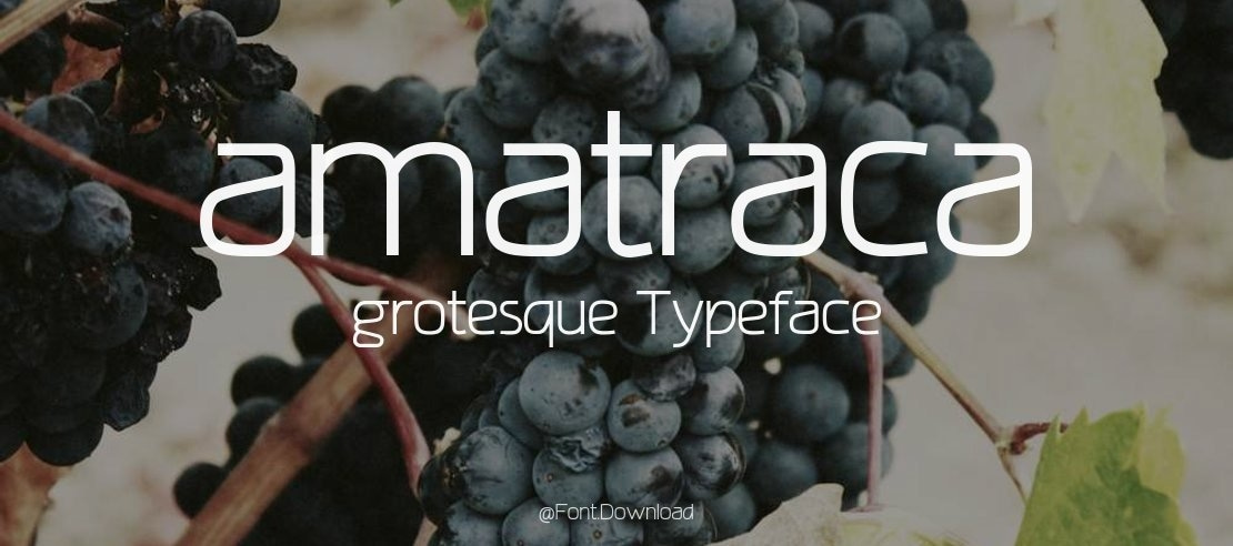 amatraca grotesque Font