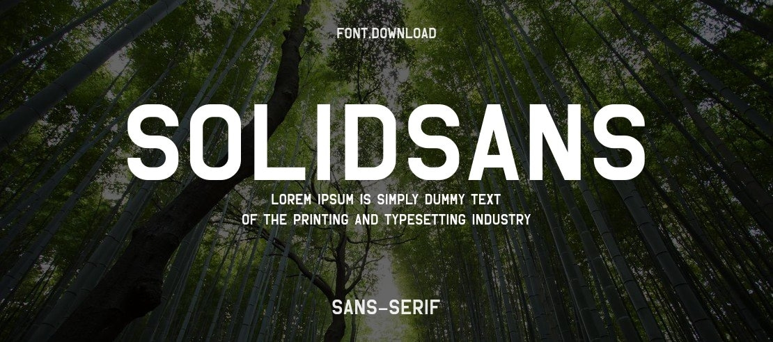 SolidSans Font Family