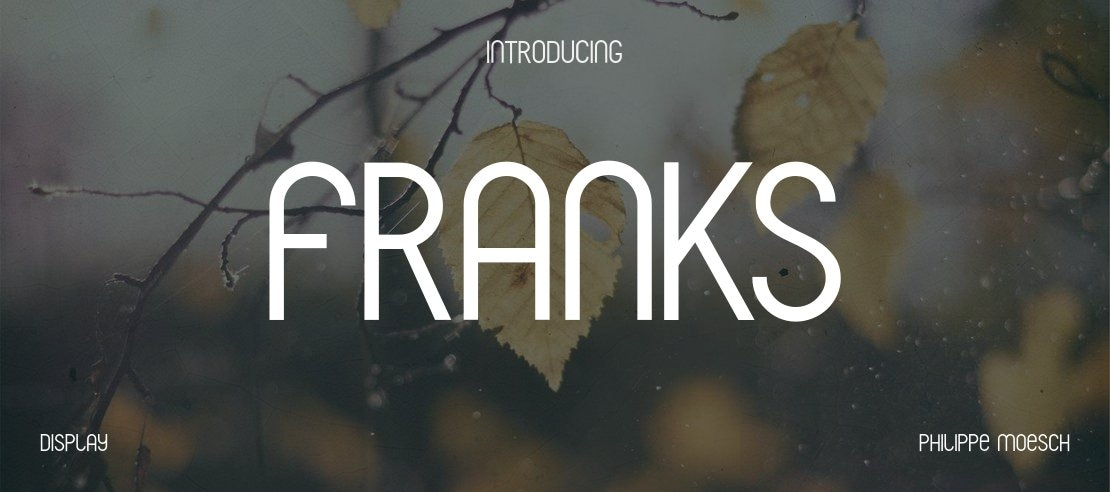 Franks Font