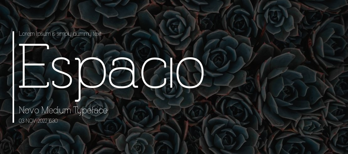 Espacio Novo Medium Font