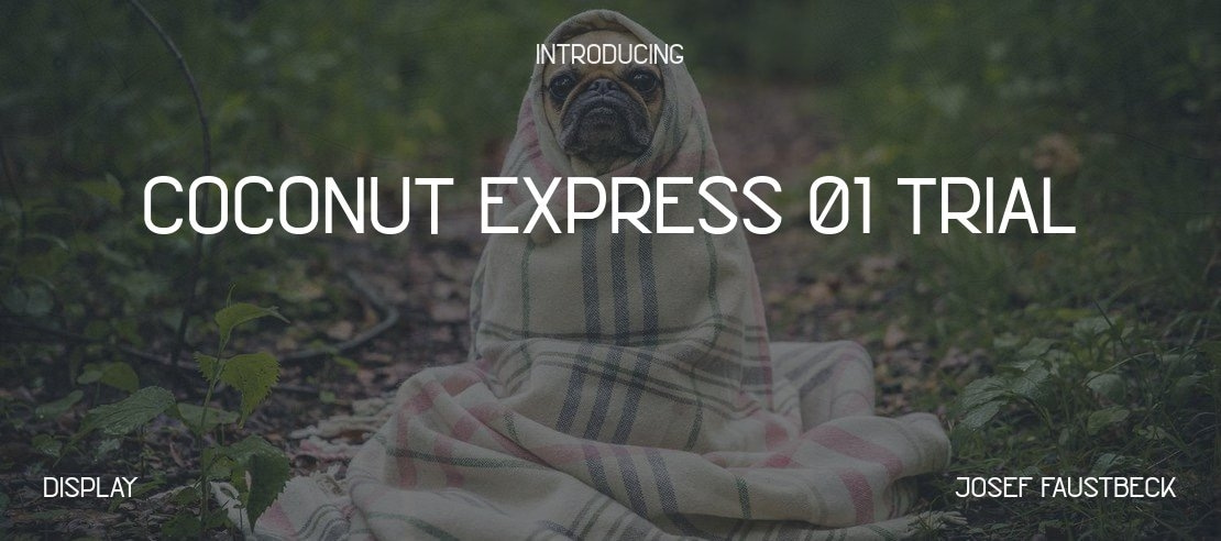 Coconut Express 01 Trial Font
