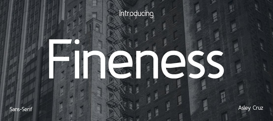 Fineness Font Family