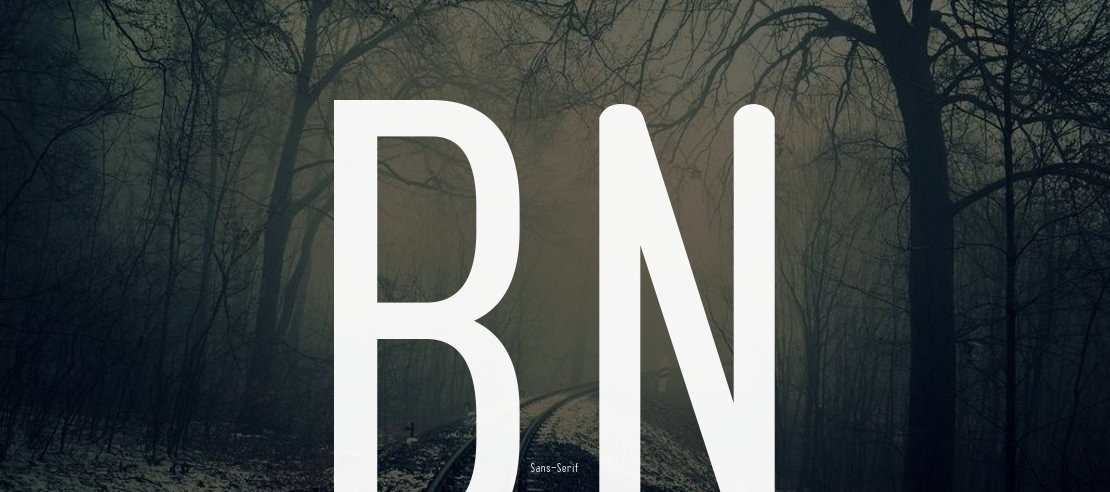 BN Pinky Font Family