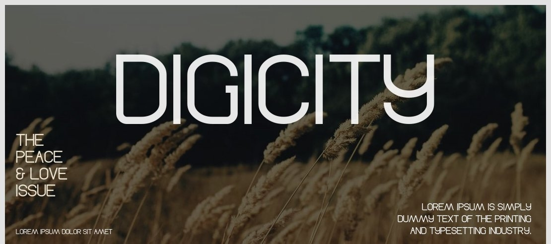 Digicity Font