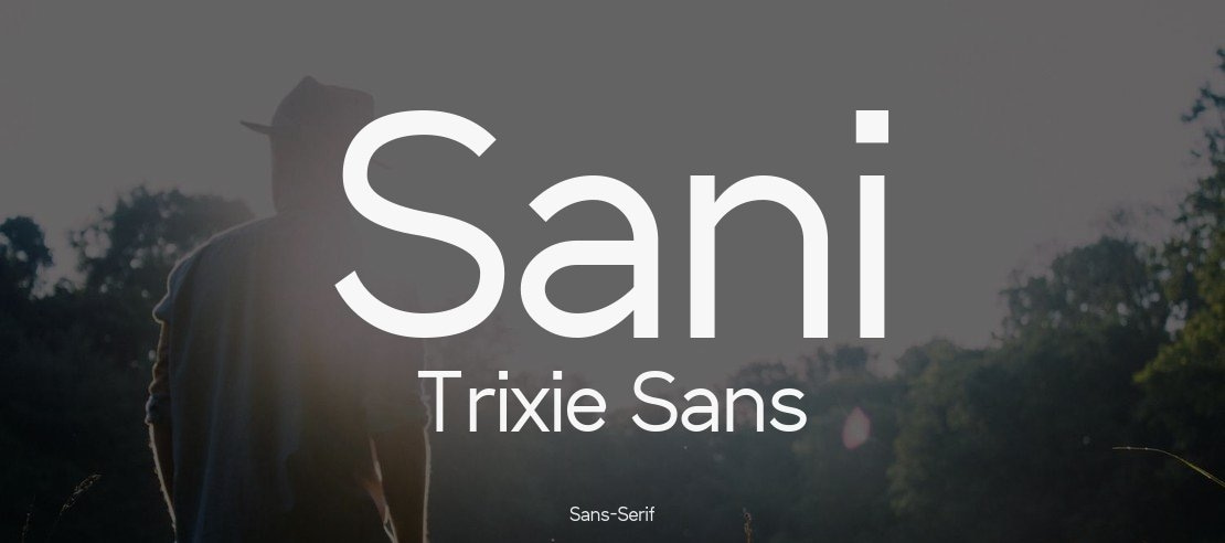 Sani Trixie Sans Font