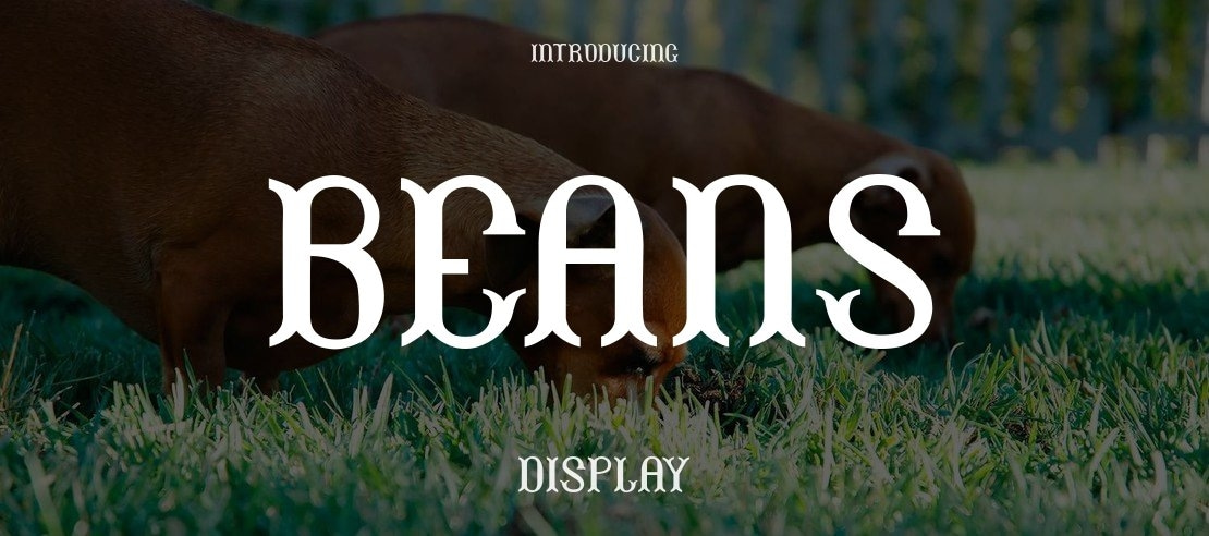 Beans Font