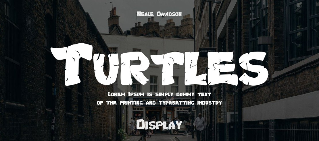 Turtles Font