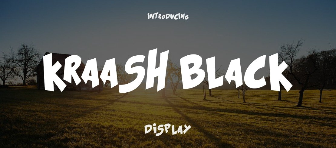 Kraash Black Font Family