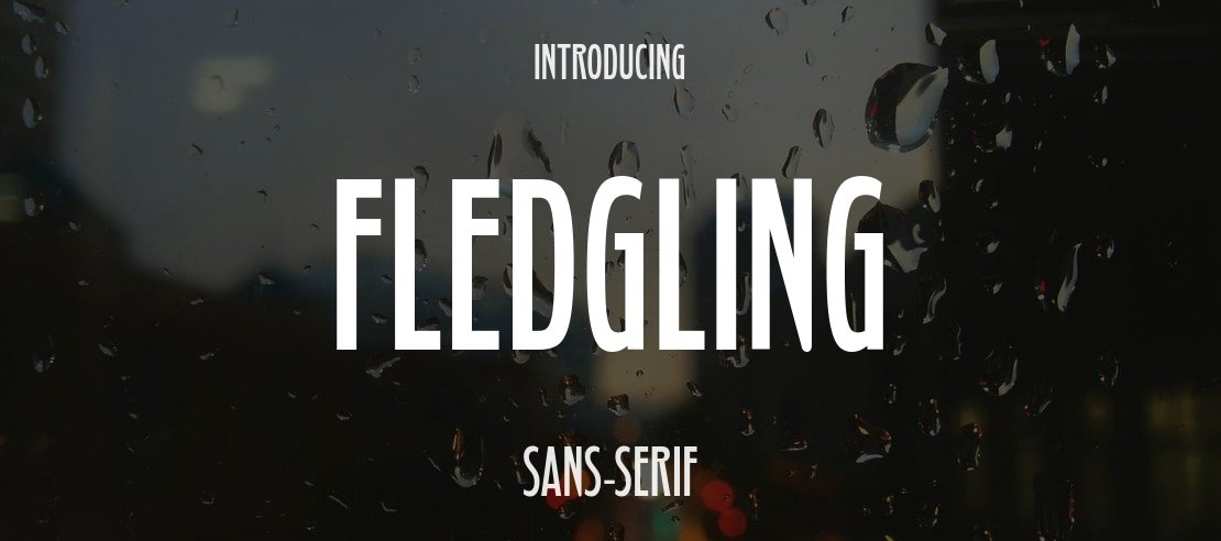 Fledgling Font