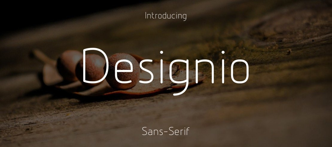 Designio Font Family