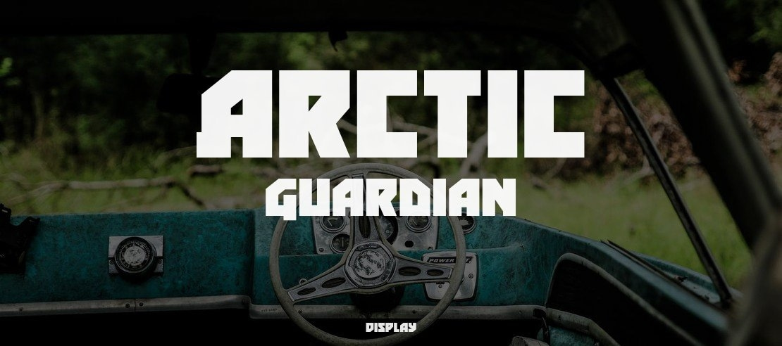 Arctic Guardian Font Family