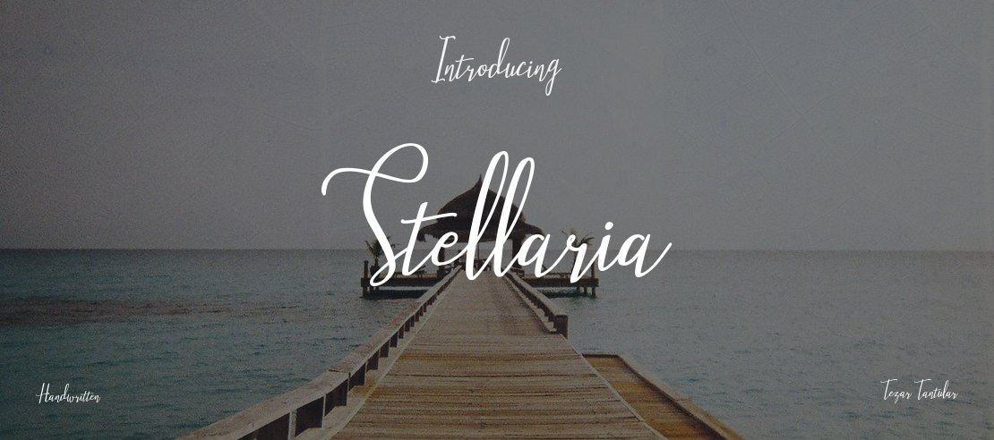 Stellaria Font