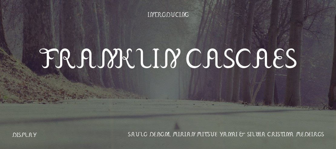 Franklin Cascaes Font