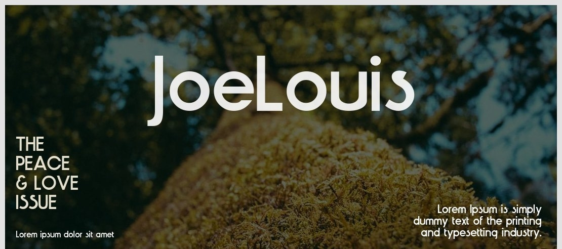 JoeLouis Font