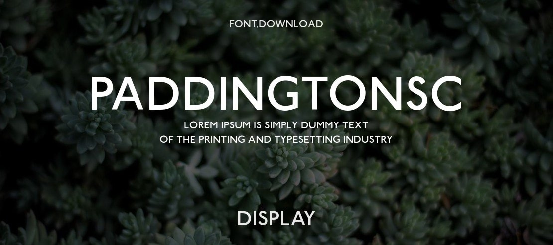 PaddingtonSC Font