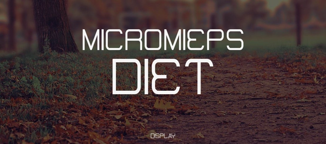 MicroMieps Diet Font