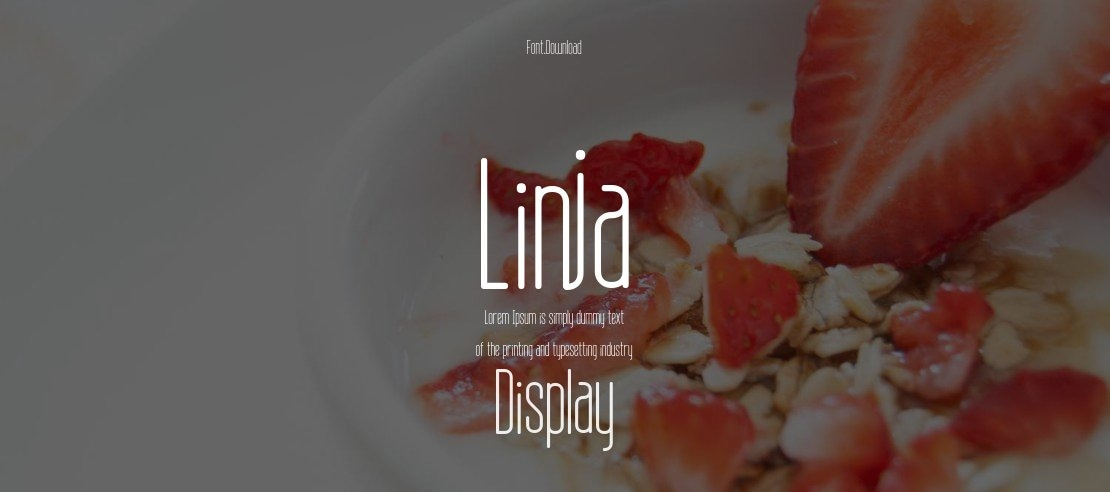 Linja Font