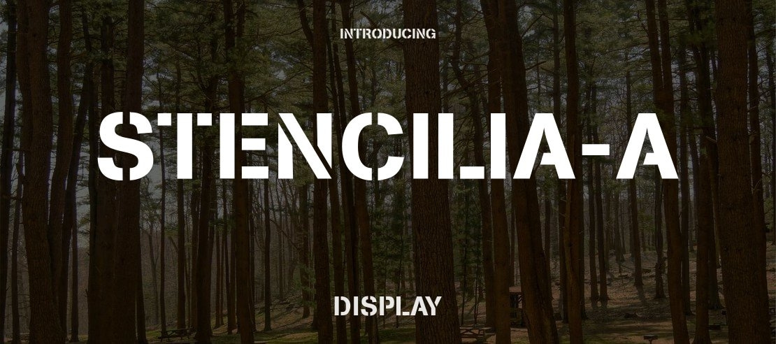 Stencilia-A Font Family