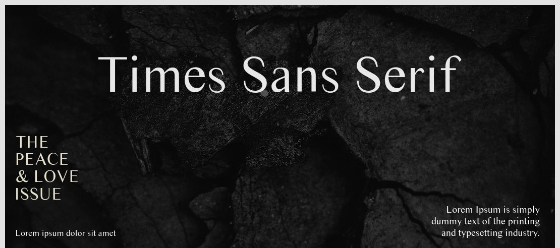 Times Sans Serif Font