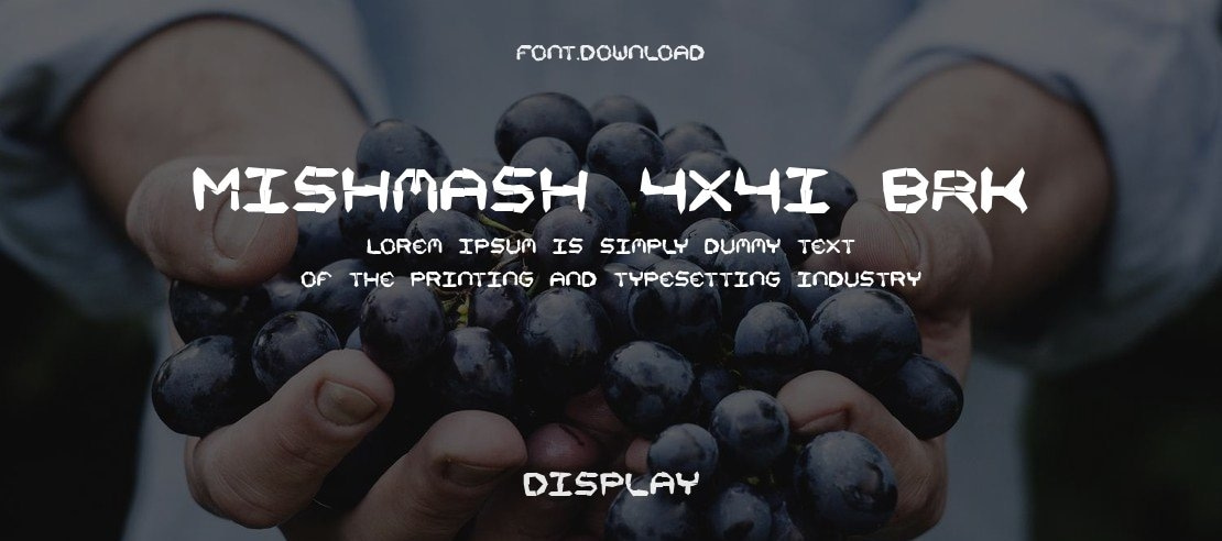 Mishmash 4x4i BRK Font Family