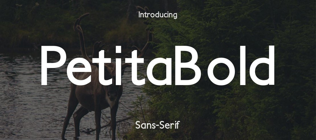 PetitaBold Font Family