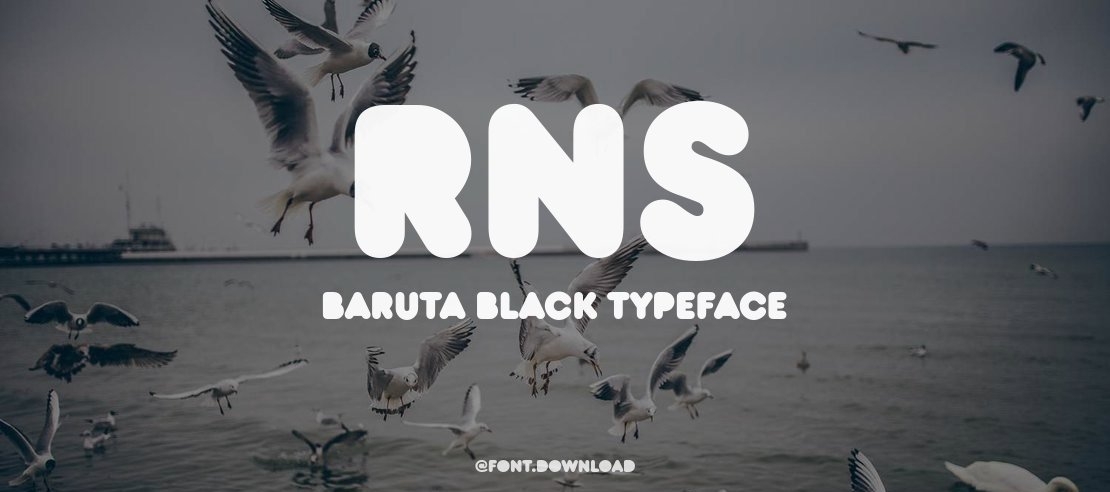 RNS  BARUTA BLACK Font