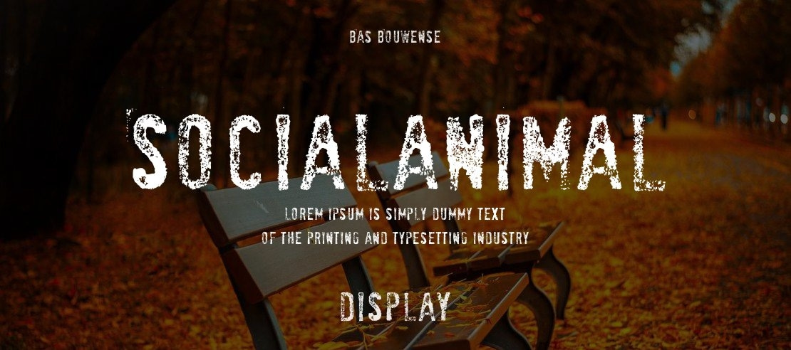 SociaLAnimaL Font