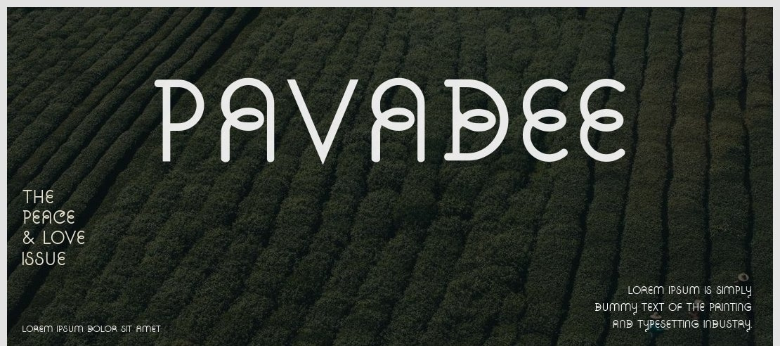 Pavadee Font