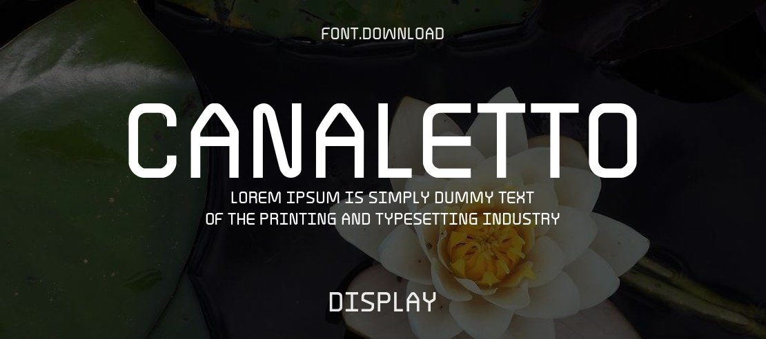 Canaletto Font Family