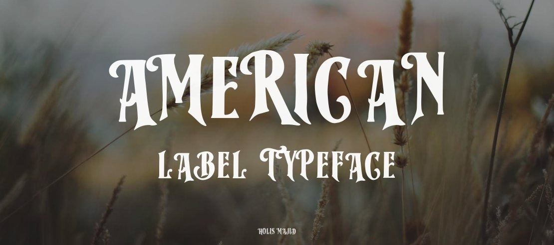 American Label Font Family