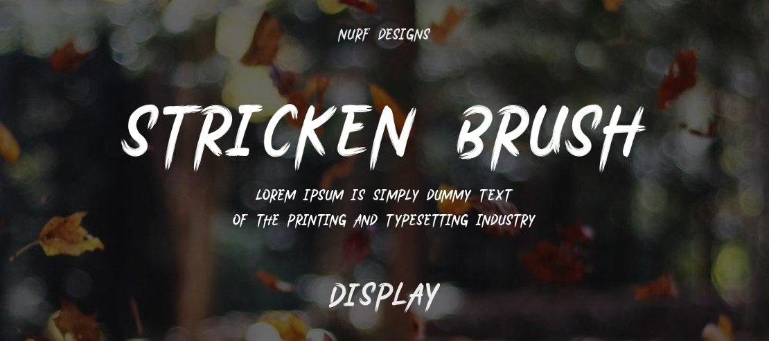 Stricken Brush Font