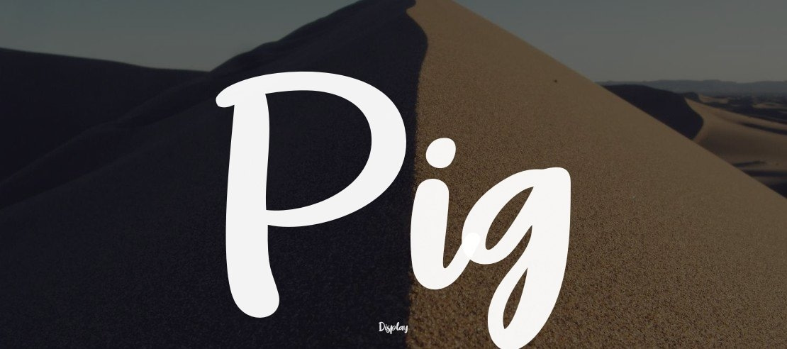 Pig Year Font