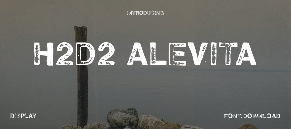 H2D2 Alevita Font