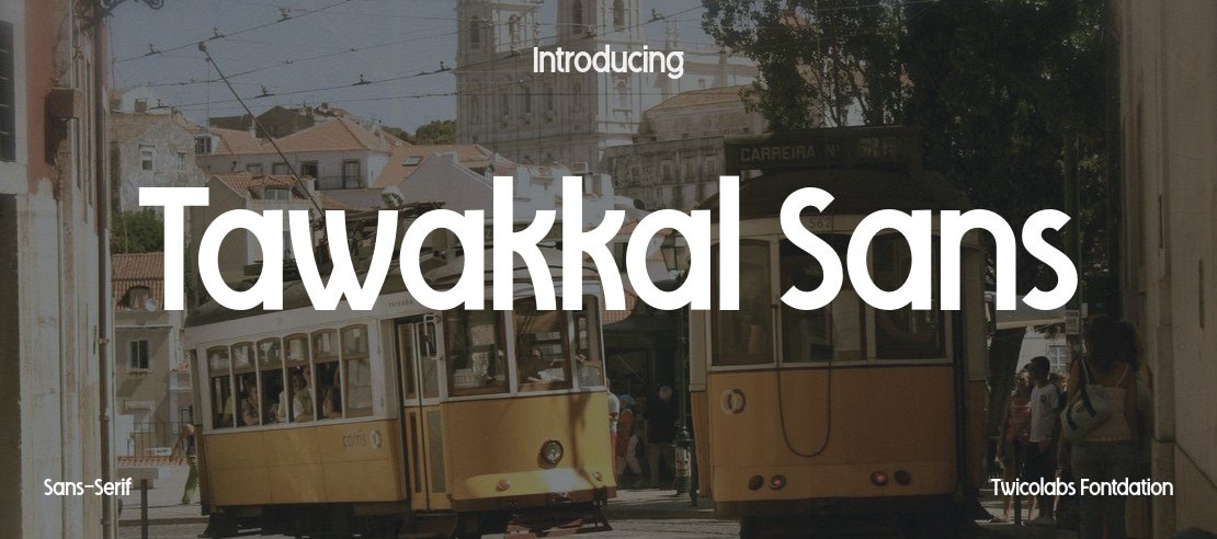 Tawakkal Sans Font
