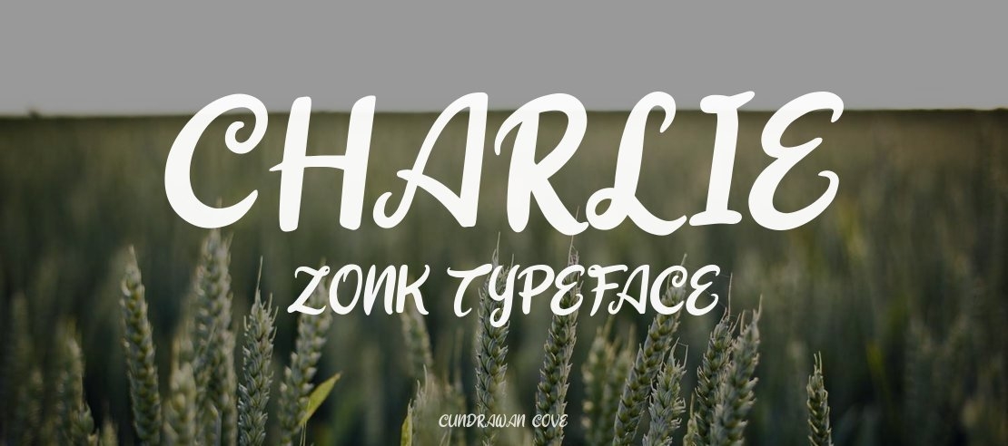 Charlie Zonk Font