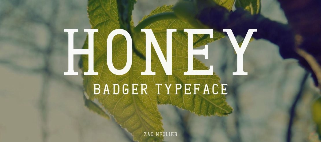Honey Badger Font