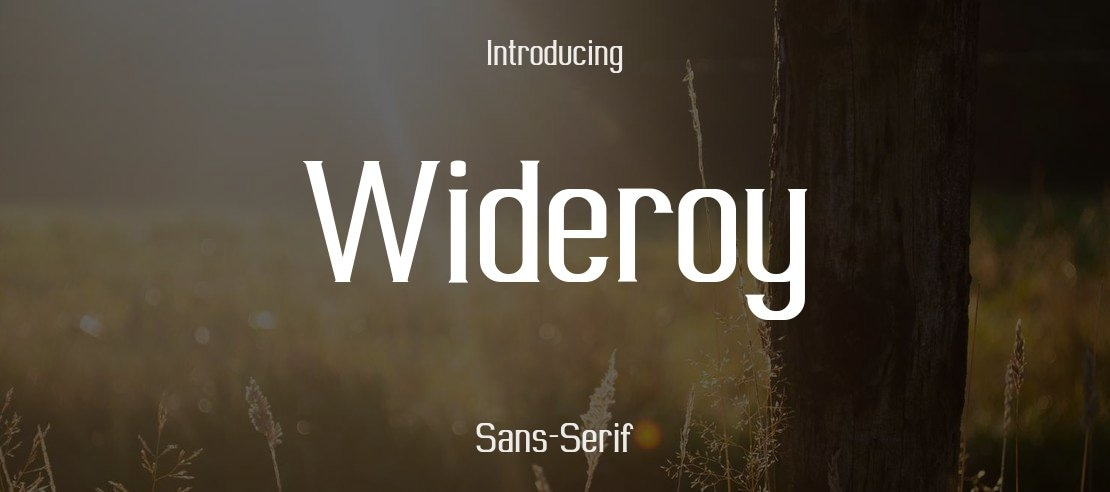 Wideroy Font