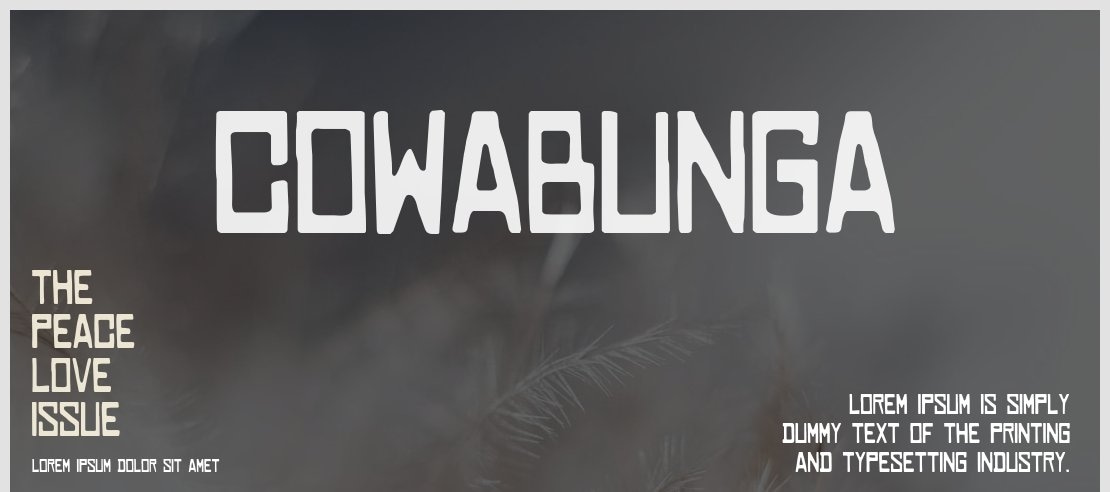 COWABUNGA Font