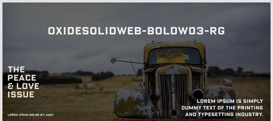 OxideSolidWeb-BoldW03-Rg Font