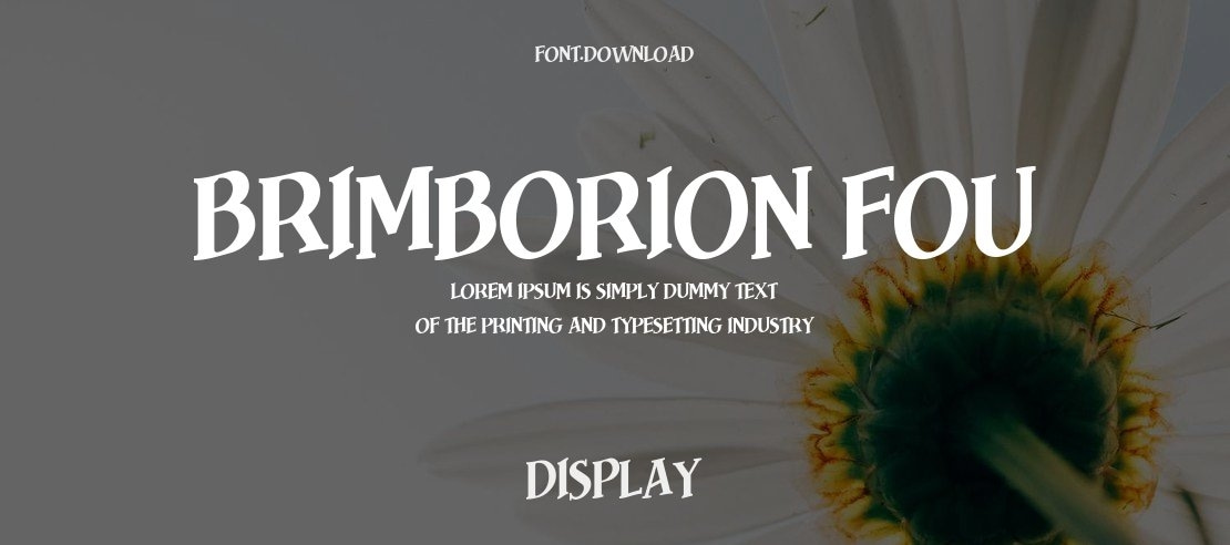 Brimborion Fou Font Family