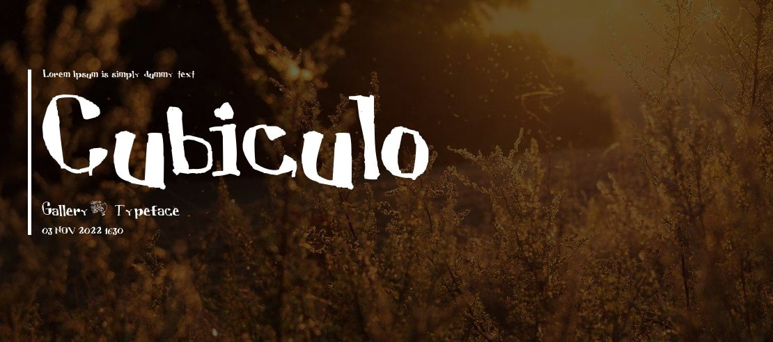 Cubiculo Gallery) Font