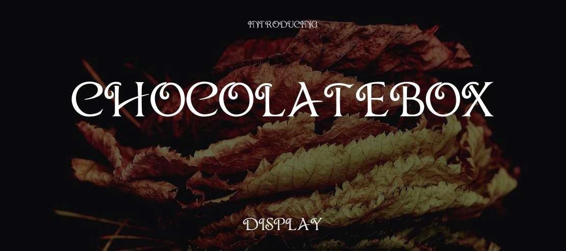 ChocolateBox Font Family