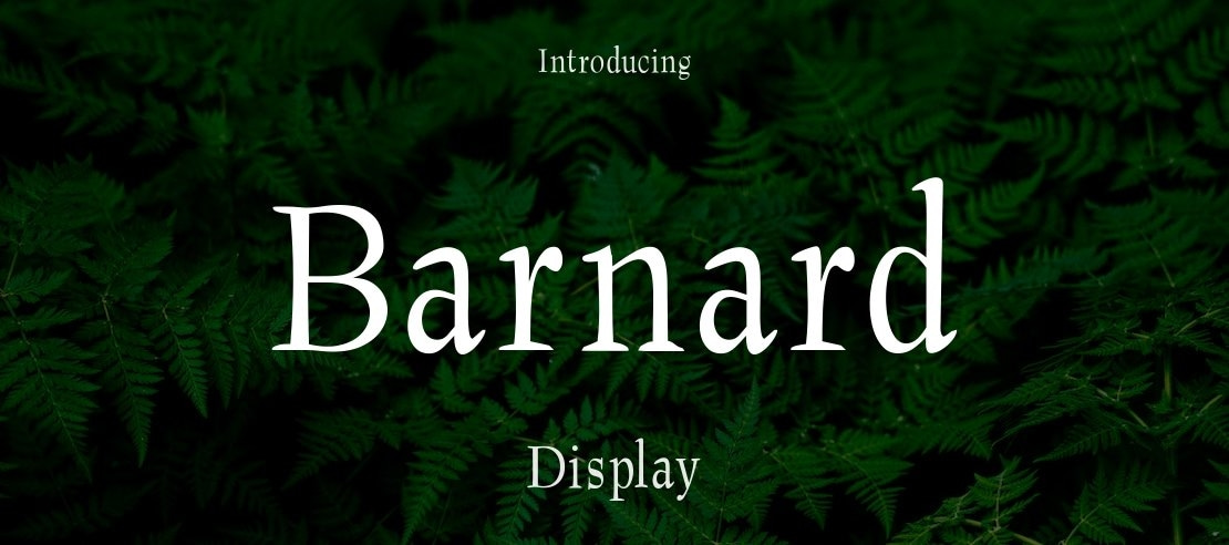 Barnard Font Family