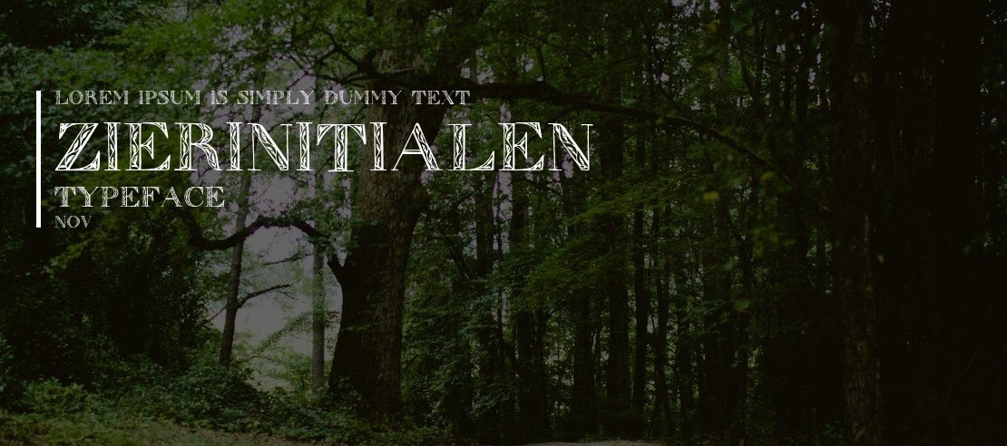 Zierinitialen 1 Font Family