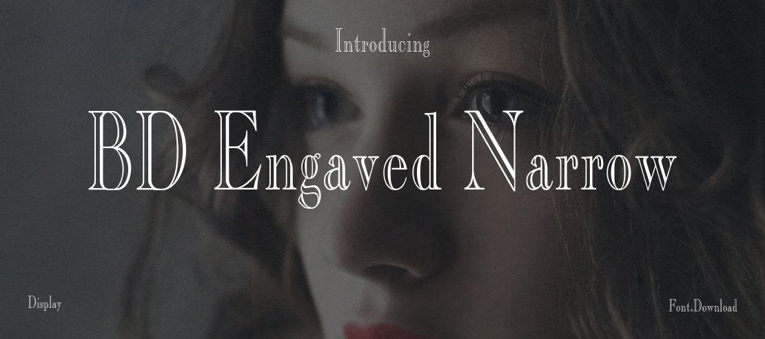 BD Engaved Narrow Font Family